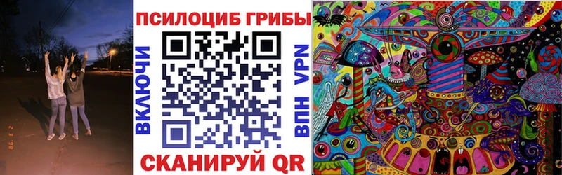 купить цена Каргат Псилоцибиновые грибы MAGIC MUSHROOMS