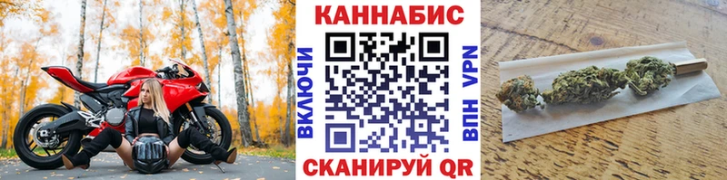 купить наркотик  omg маркетплейс  МАРИХУАНА OG Kush  Каргат 